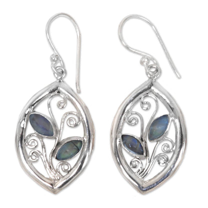 Paradise Leaves 925 Sterling Silver Leaf Earrings with Rainbow Moonstone