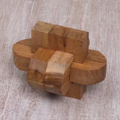 Focus Artisan Crafted Upcycled Teak Wood Puzzle from Java