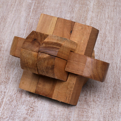 Focus Artisan Crafted Upcycled Teak Wood Puzzle from Java