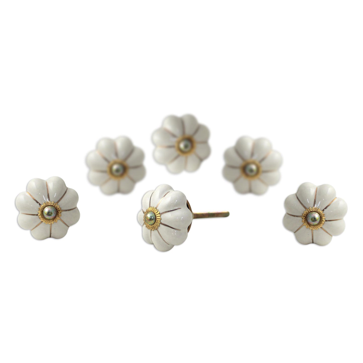 Pale Floral Beauties Ceramic Cabinet Knobs Floral Off-White (Set of 6) India