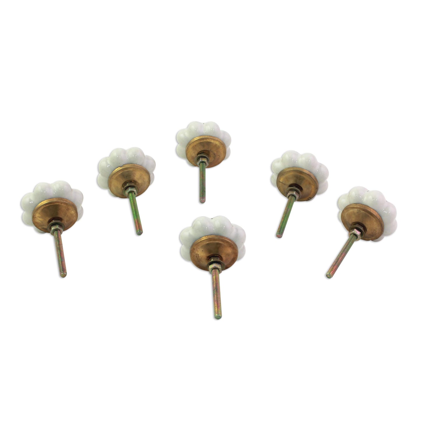 Pale Floral Beauties Ceramic Cabinet Knobs Floral Off-White (Set of 6) India