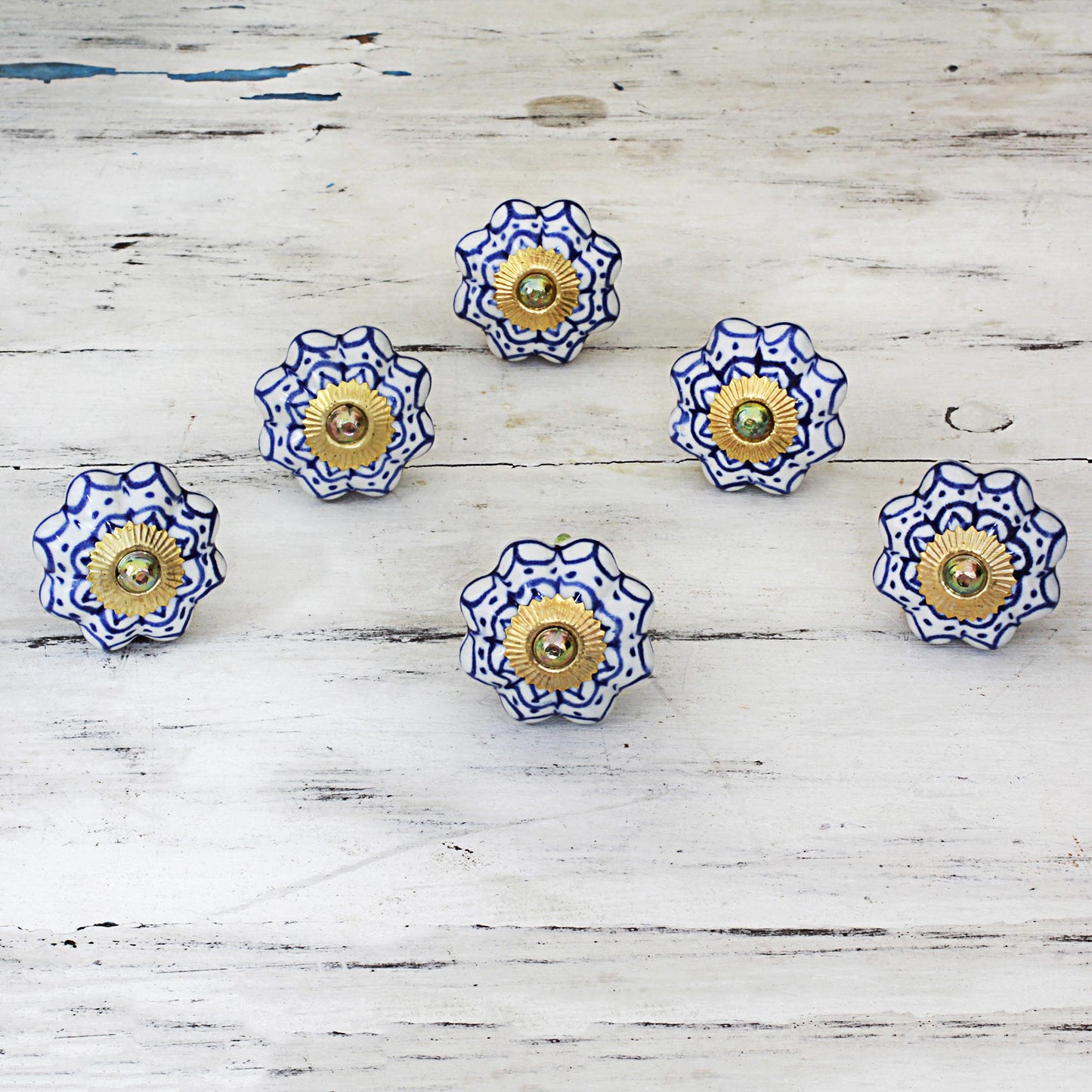 Radiant Blue Flowers Ceramic Brass Cabinet Knobs Floral (Set of 6) from India