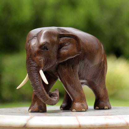 Relaxed Elephant Hand Made Wood Elephant Sculpture from Thailand