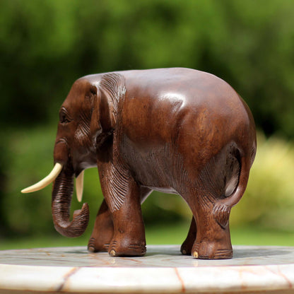 Relaxed Elephant Hand Made Wood Elephant Sculpture from Thailand