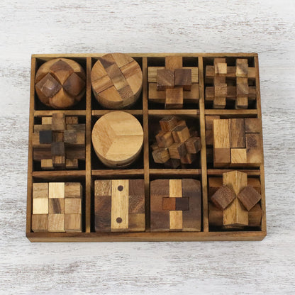 Array Of Challenges Wood Puzzles