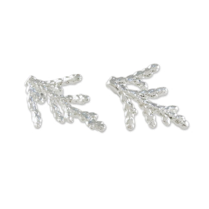 Natural Needles Silver Plated Natural Cypress Leaf Earrings from Thailand