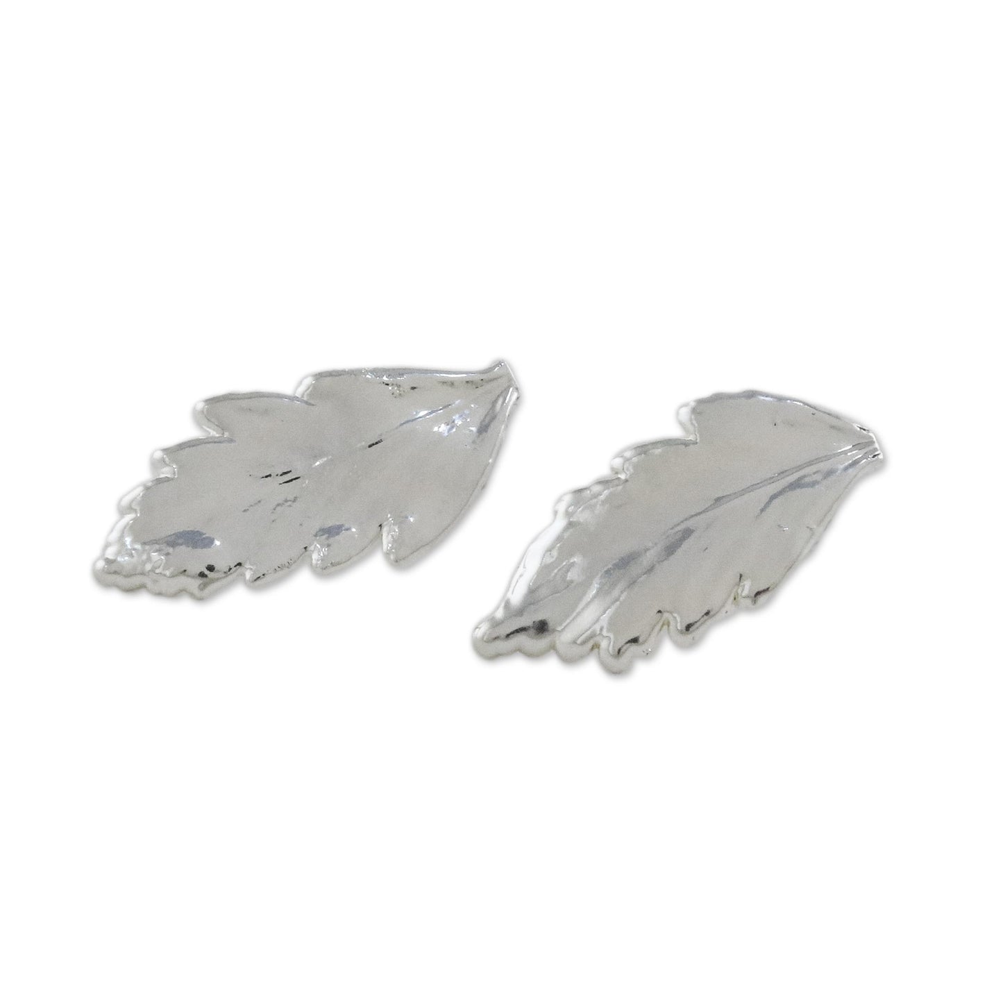 Shining Fern Silver Plated Natural Davallia Leaf Earrings from Thailand