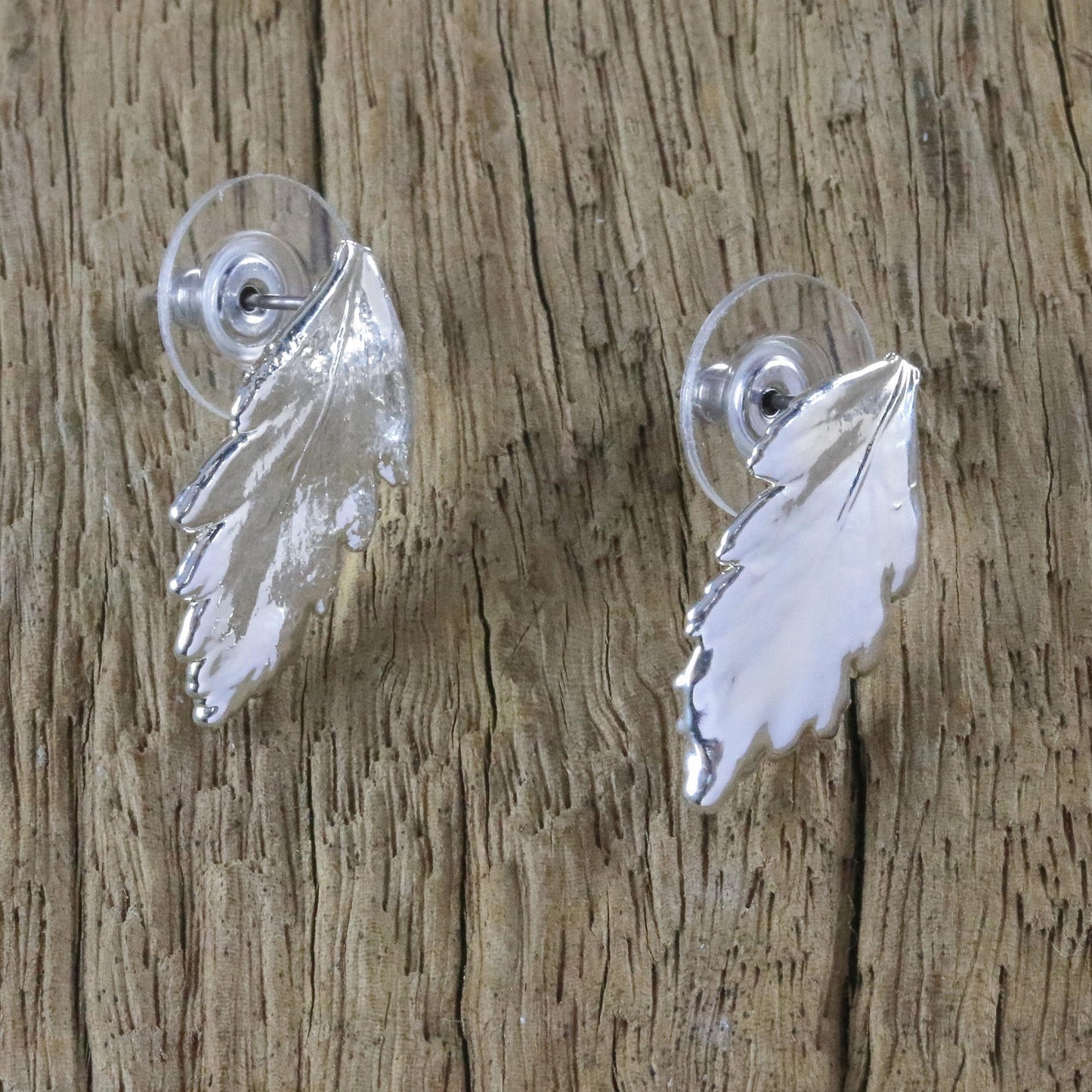 Shining Fern Silver Plated Natural Davallia Leaf Earrings from Thailand