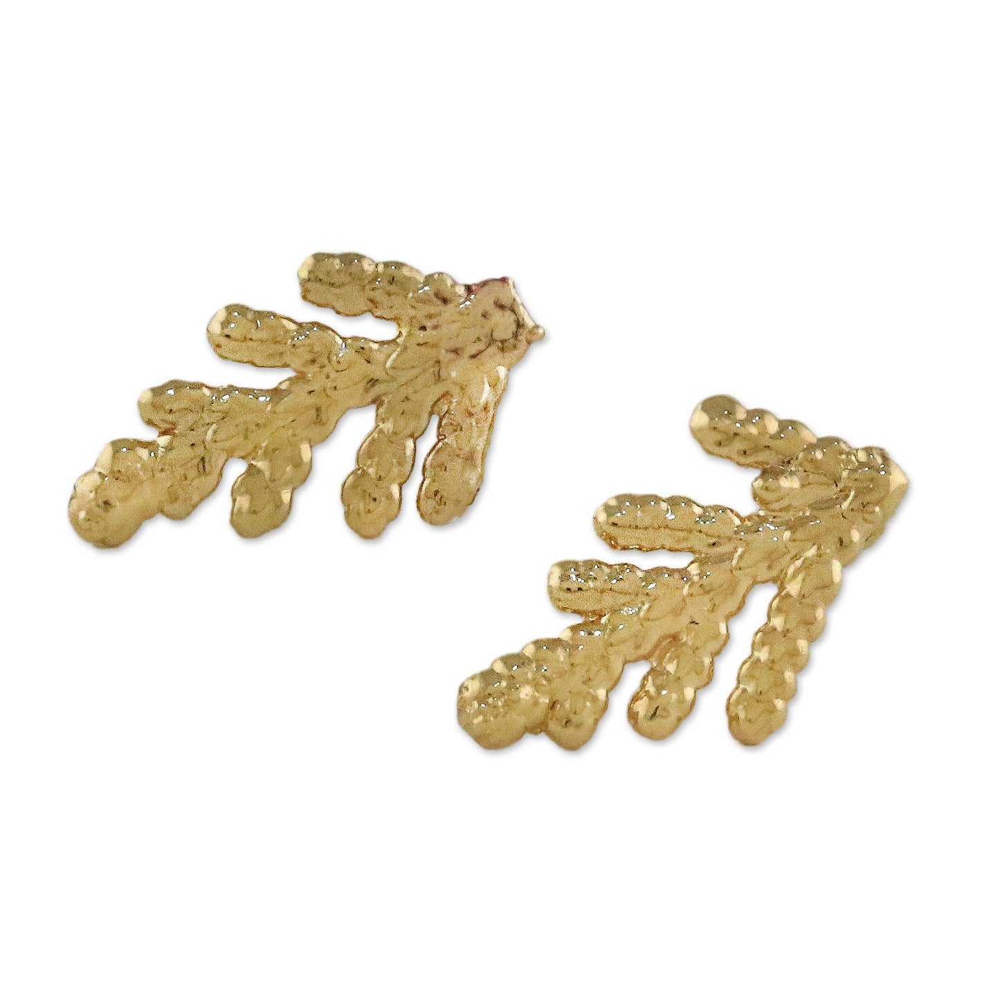 Natural Needles Gold Plated Natural Cypress Leaf Button Earrings