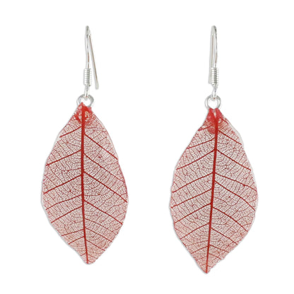 Stunning Nature in Crimson Natural Leaf Dangle Earrings in Crimson from Thailand