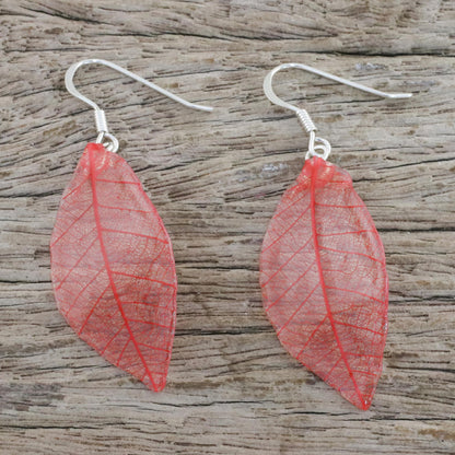 Stunning Nature in Crimson Natural Leaf Dangle Earrings in Crimson from Thailand