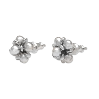 Jasmine Shine Sterling Silver Jasmine Flowers Stud Earrings from Bali