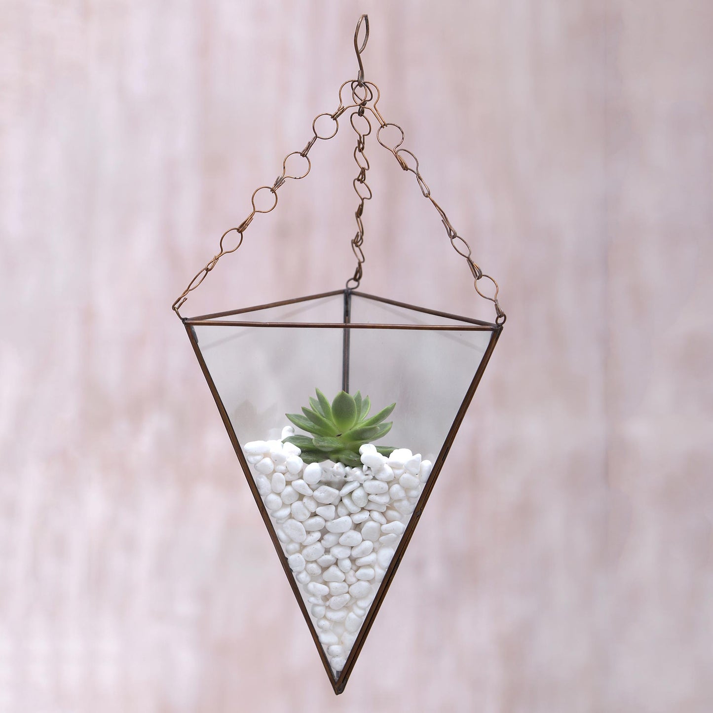 Eden Pyramid Glass and Brass 18 Inch Hanging Terrarium from Java