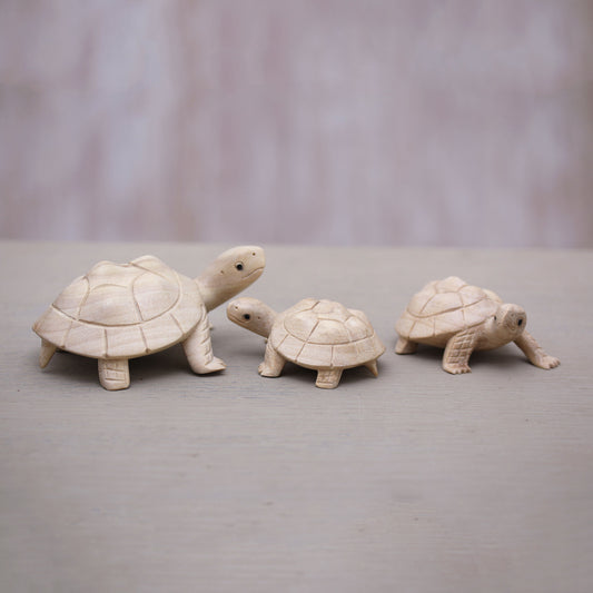 Terrapin Trio Three Hand Carved Terrapin Turtle Wood Statuettes from Bali