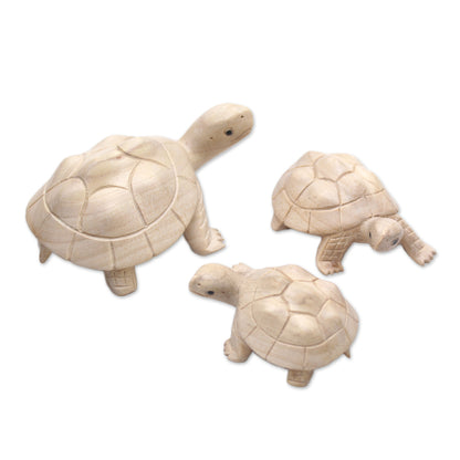 Terrapin Trio Three Hand Carved Terrapin Turtle Wood Statuettes from Bali