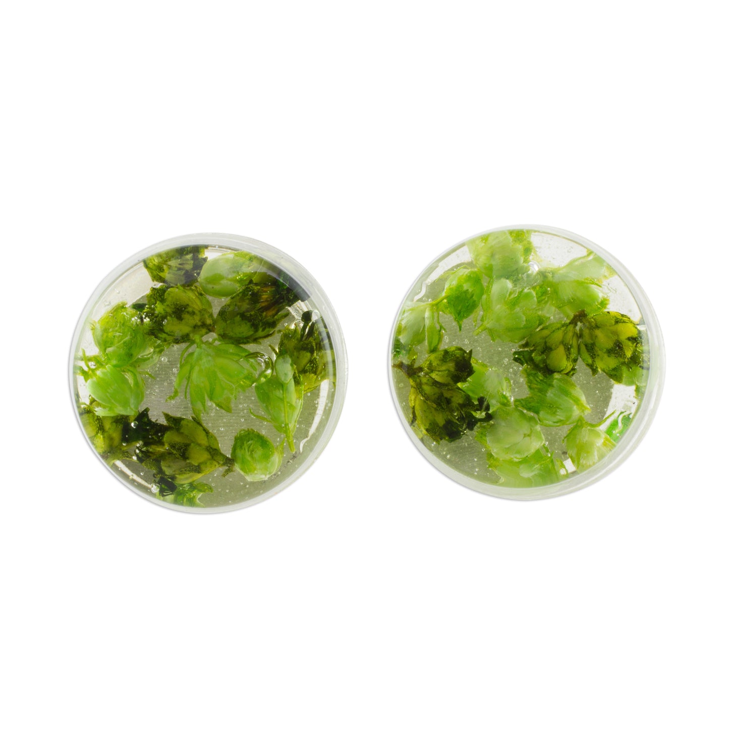 Eternal Bouquet in Green Green Flower in Clear Resin Button Earrings from Costa Rica