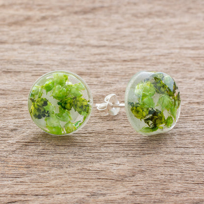 Eternal Bouquet in Green Green Flower in Clear Resin Button Earrings from Costa Rica