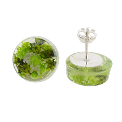 Eternal Bouquet in Green Green Flower in Clear Resin Button Earrings from Costa Rica