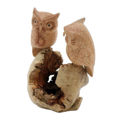 Owl Lovers Hand-Carved Jempinis Wood Owl Couple Tree Sculpture