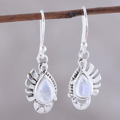 Feather Bliss Teardrop Rainbow Moonstone Dangle Earrings Crafted in India