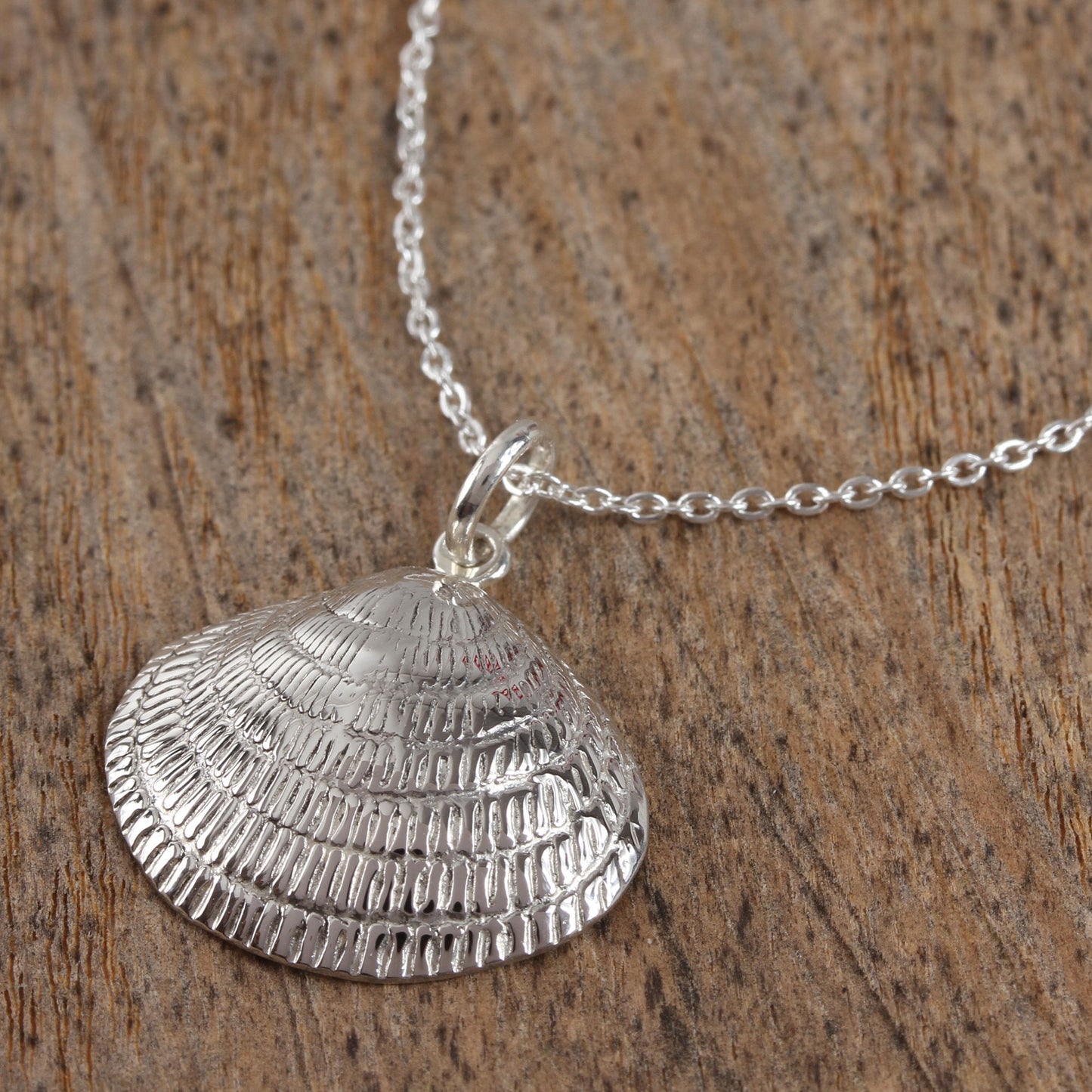 Mediterranean Shell Sterling Silver Seashell Pendant Necklace from Mexico