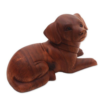 Best Boy Hand-Carved Wood Dog Sculpture from Bali