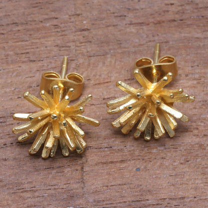 Golden Coral Modern 18k Gold Plated Sterling Silver Stud Earrings