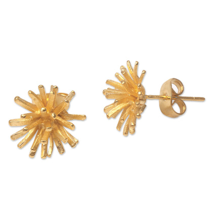 Golden Coral Modern 18k Gold Plated Sterling Silver Stud Earrings