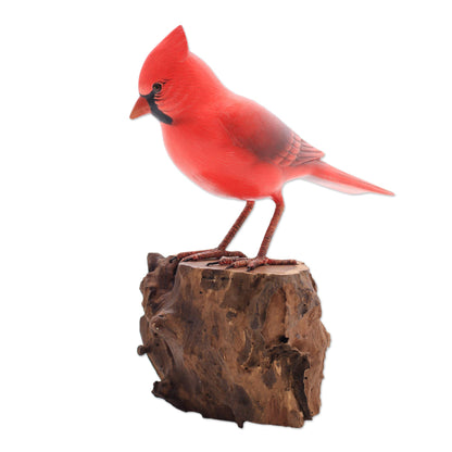 Perched Virginia Cardinal Hand-Painted Wood Virginia Cardinal Sculpture from Bali