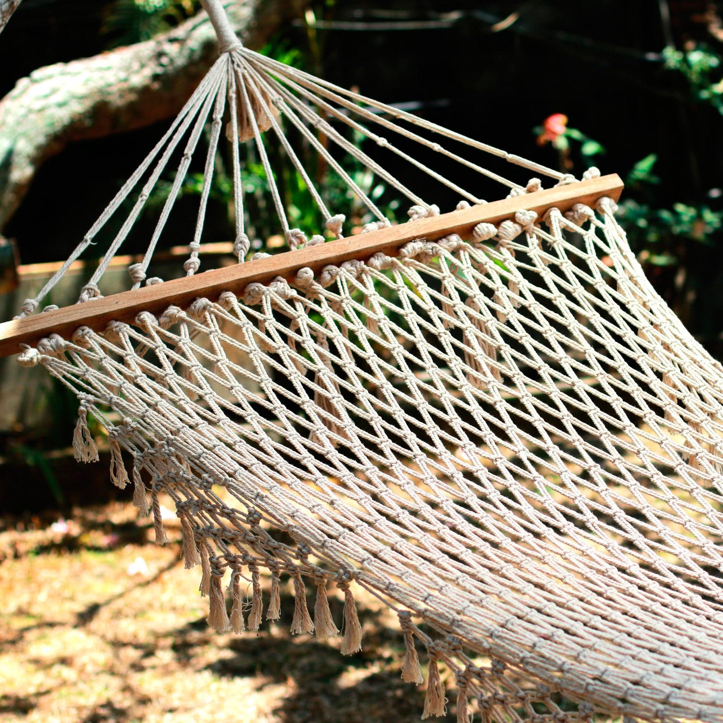 Bali Relaxation Hand-Knotted Cotton Rope Hammock from Bali (Single)