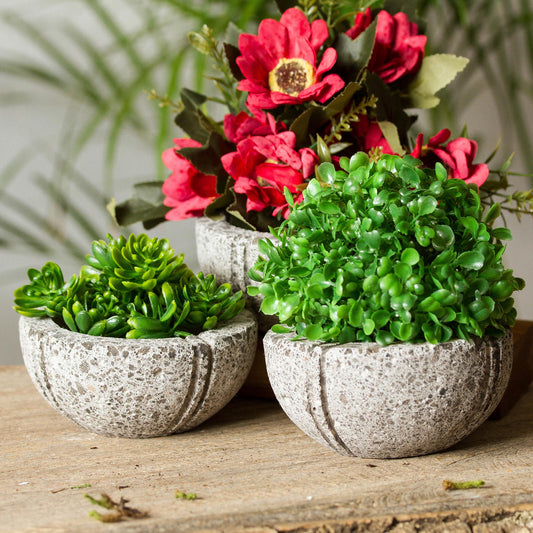 Petite Fleurs Round Reclaimed Stone Flower Pots from Mexico (Set of 3)