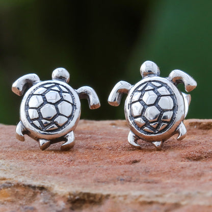 Tiny Turtles Thai Artisan Handcrafted Sterling Silver Turtle Earrings