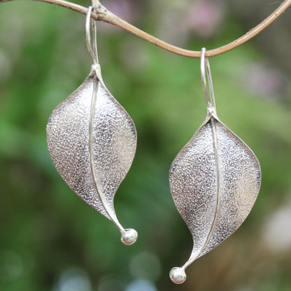 Curved Leaves Modern Leaf-Shaped Sterling Silver Drop Earrings from Bali