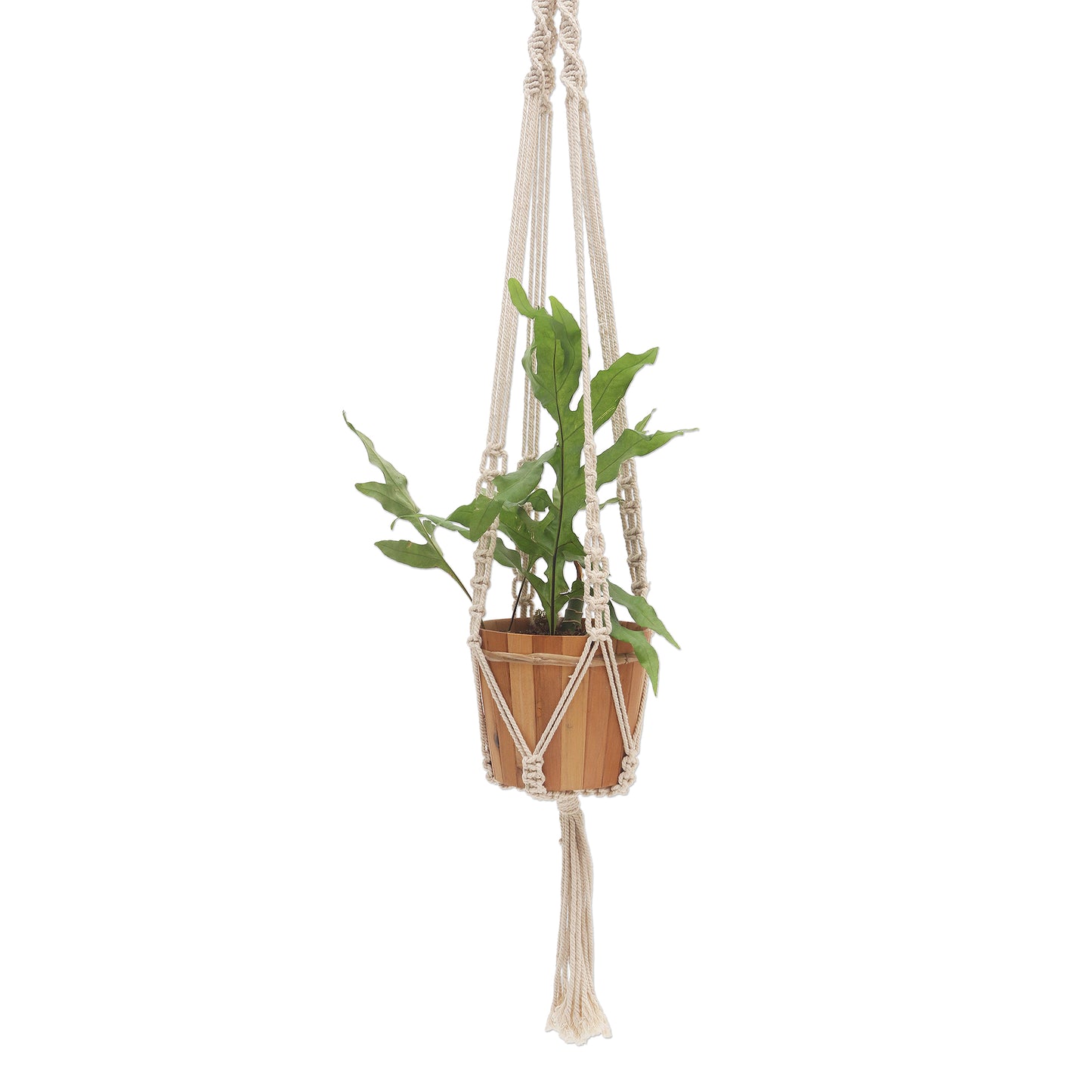 Pure Home Hand-Knotted White Cotton Macrame Hanger from Bali