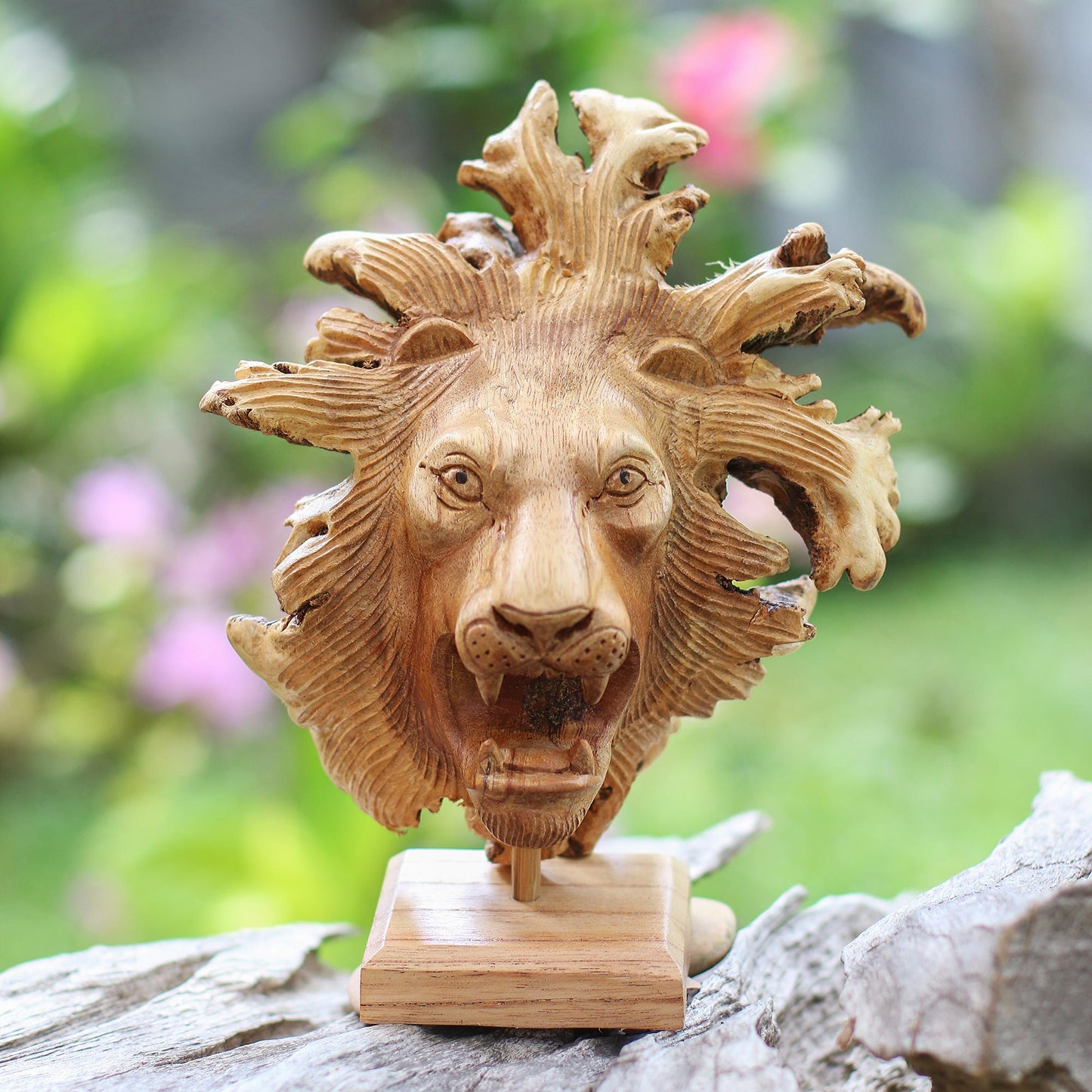 Emerging Lion Benalu Wood Lion Sculpture on Stand