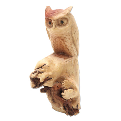 Silent Owl Hand Carved Wood Owl Sculpture