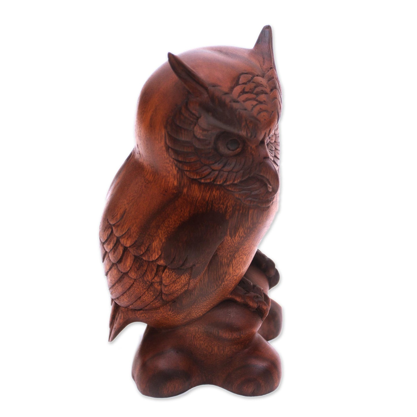 Crested Owl Suar Wood Sculpture