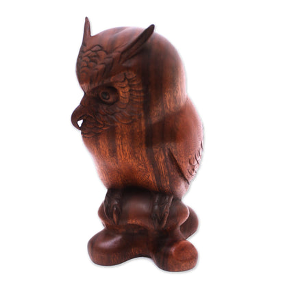 Crested Owl Suar Wood Sculpture