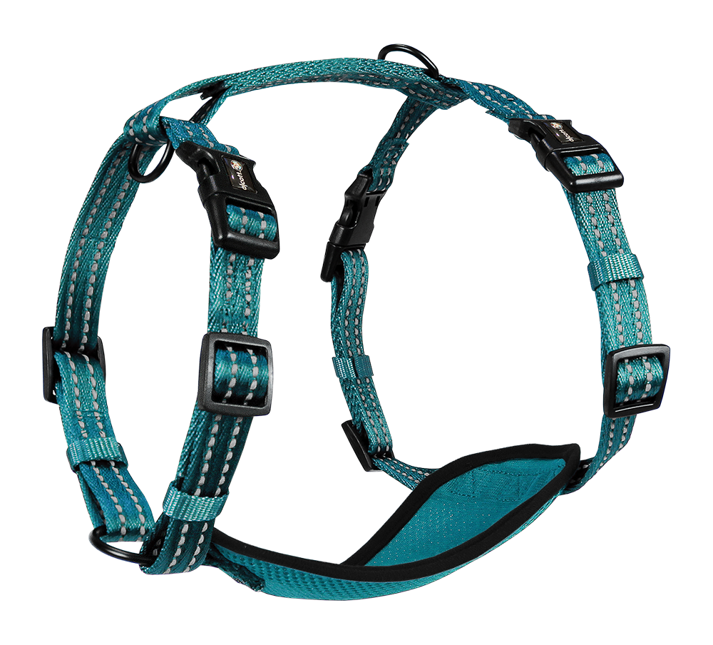Adventure Harnesses