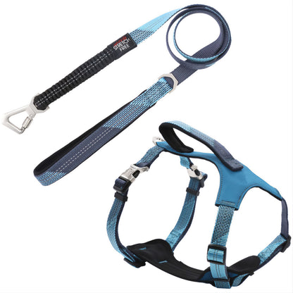 Pet Life&reg; Geo-prene Leash & Harness