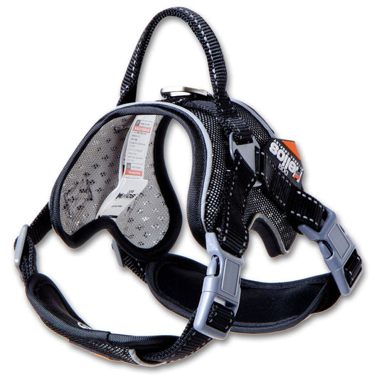 Dog Helios&reg; Scorpion Sporty Dog Harness