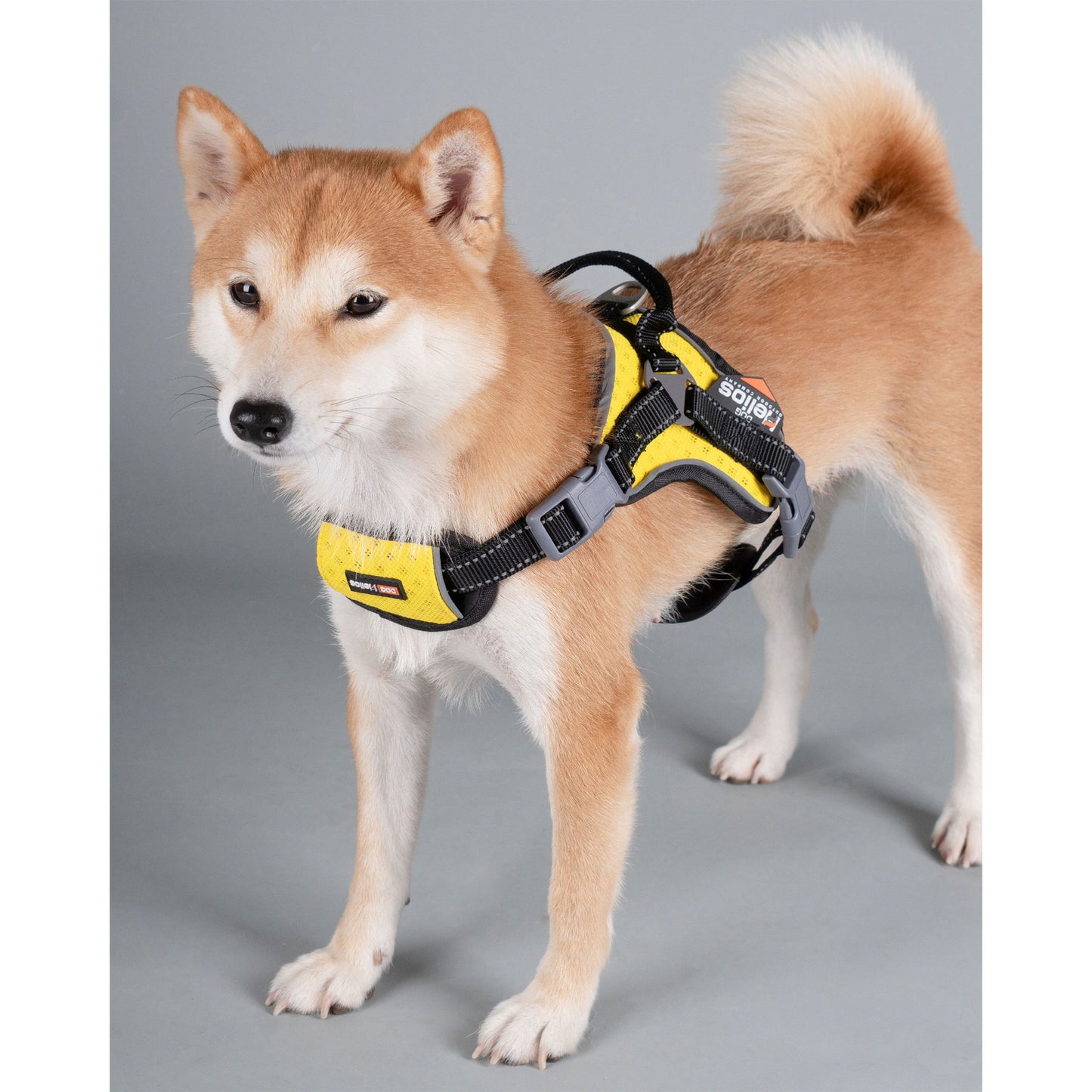 Dog Helios&reg; Scorpion Sporty Dog Harness