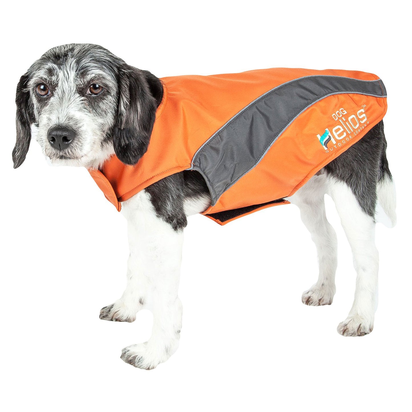 Dog Helios&reg; Octane Softshell Jacket