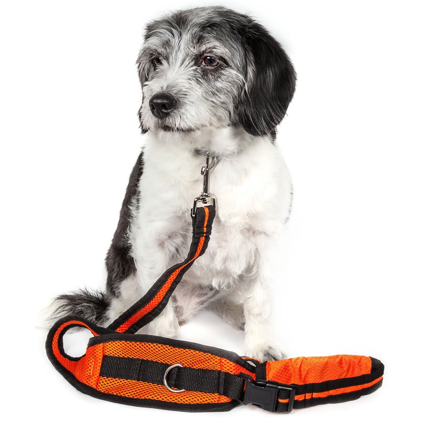 Pet Life Echelon Dog Leash & Belt with Pouch