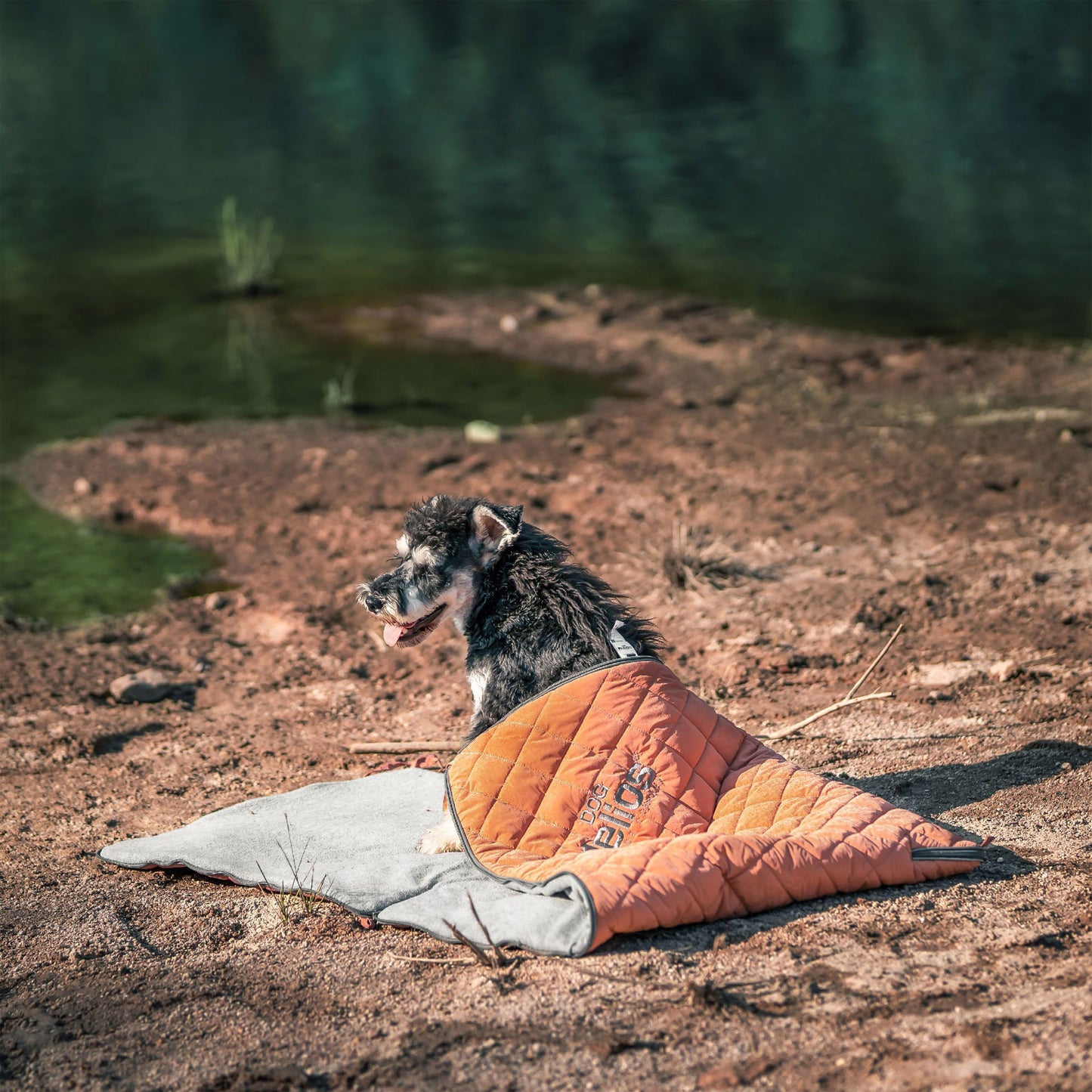 Dog Helios&reg; Boulder-Trek Travel Dog Mat