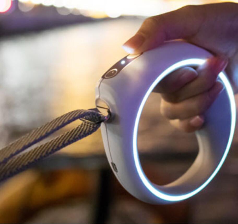 Bluetooth Activity Monitoring Dog Leash