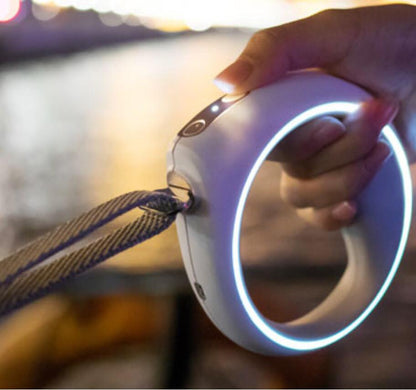 Bluetooth Activity Monitoring Dog Leash