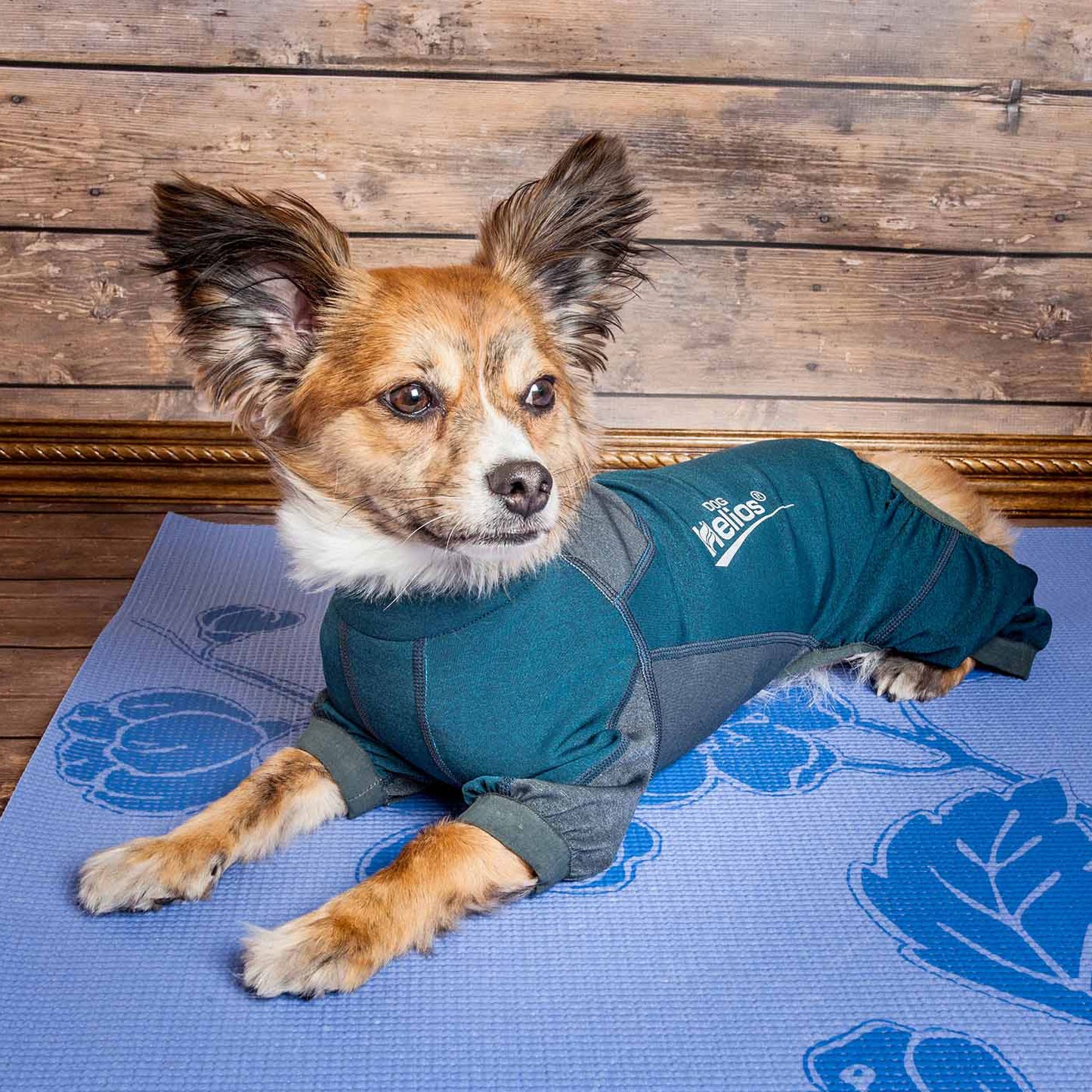 Dog Helios&reg; Rufflex Dog Warmup Track Suit