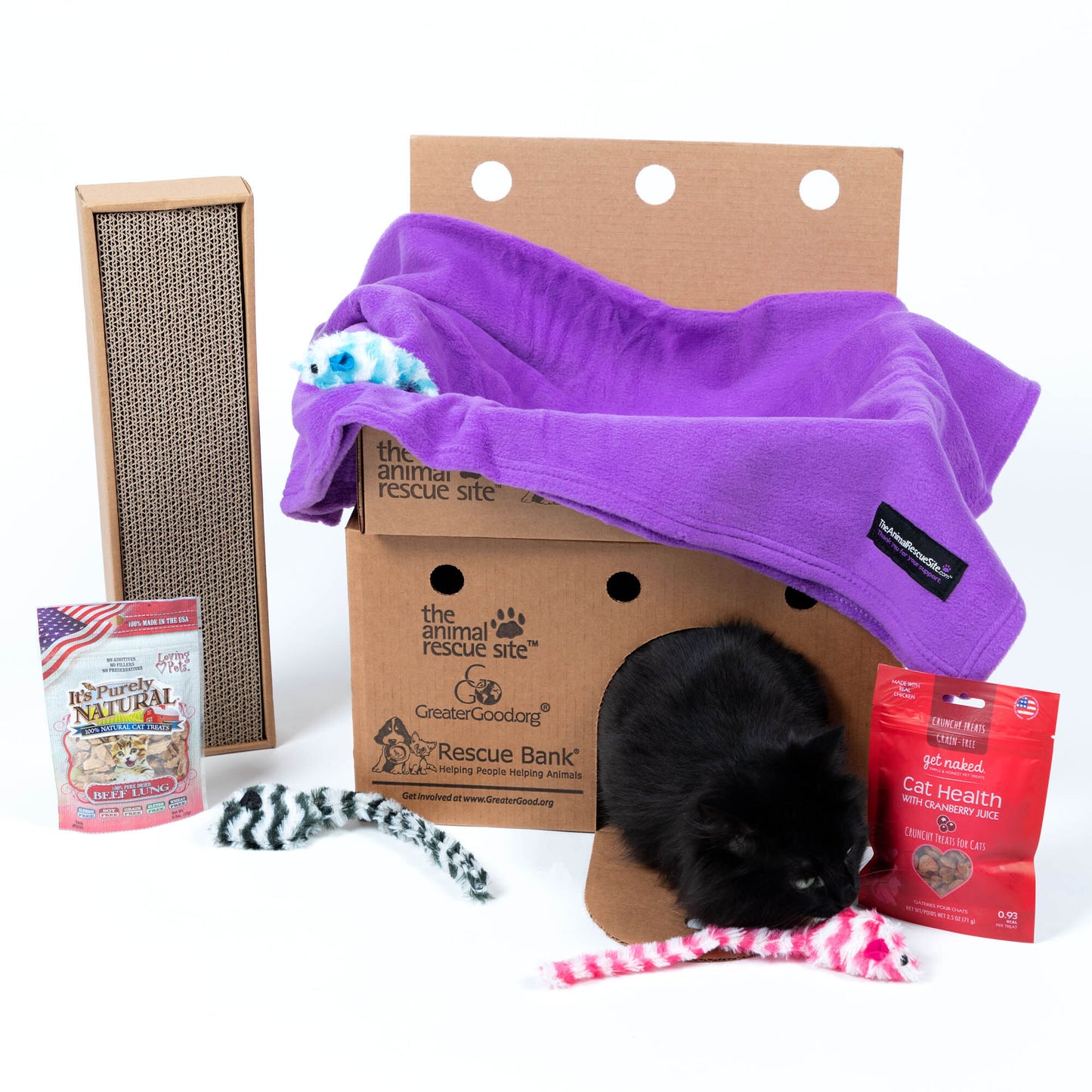 Crazy for Cats: Provide Essentials for Cats & Kittens In Need