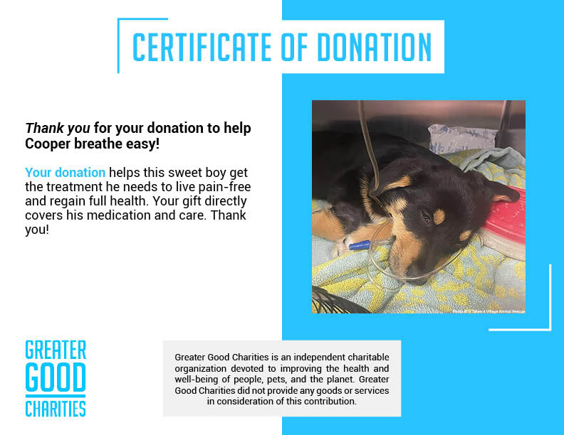 Funded - Help Cooper Breathe Easy